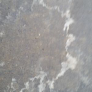 Meet your Posher, Tcb